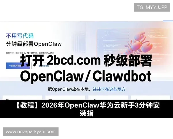 如何正确安装开云ws，解决常见安装问题的实用指南