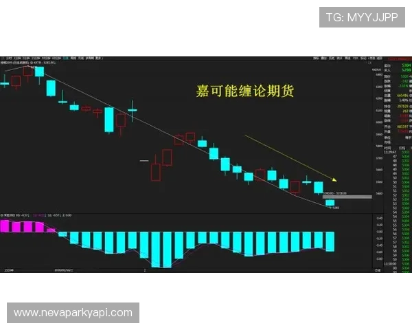 全面解析在线体育官网的优势与发展趋势,助你轻松掌握最新行业动态与玩法技巧 全面解析在线体育官网的优势与发展趋势,助你轻松掌握最新行业动态与玩法技巧